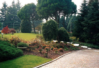 Il Giardino - Costruzione e Manutenzione Giardini