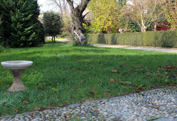 Il Giardino - Costruzione e Manutenzione Giardini